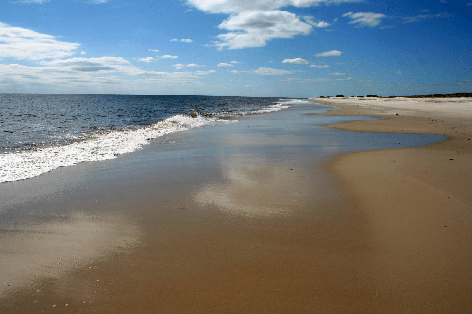 Fire Island Beaches