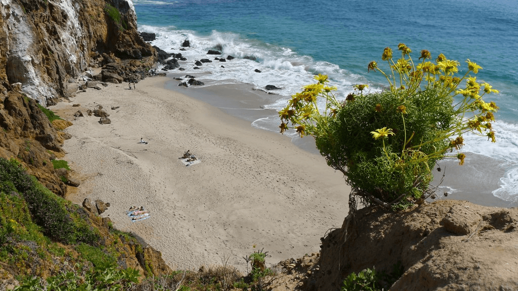 Pirate’s Cove in McAllister Park