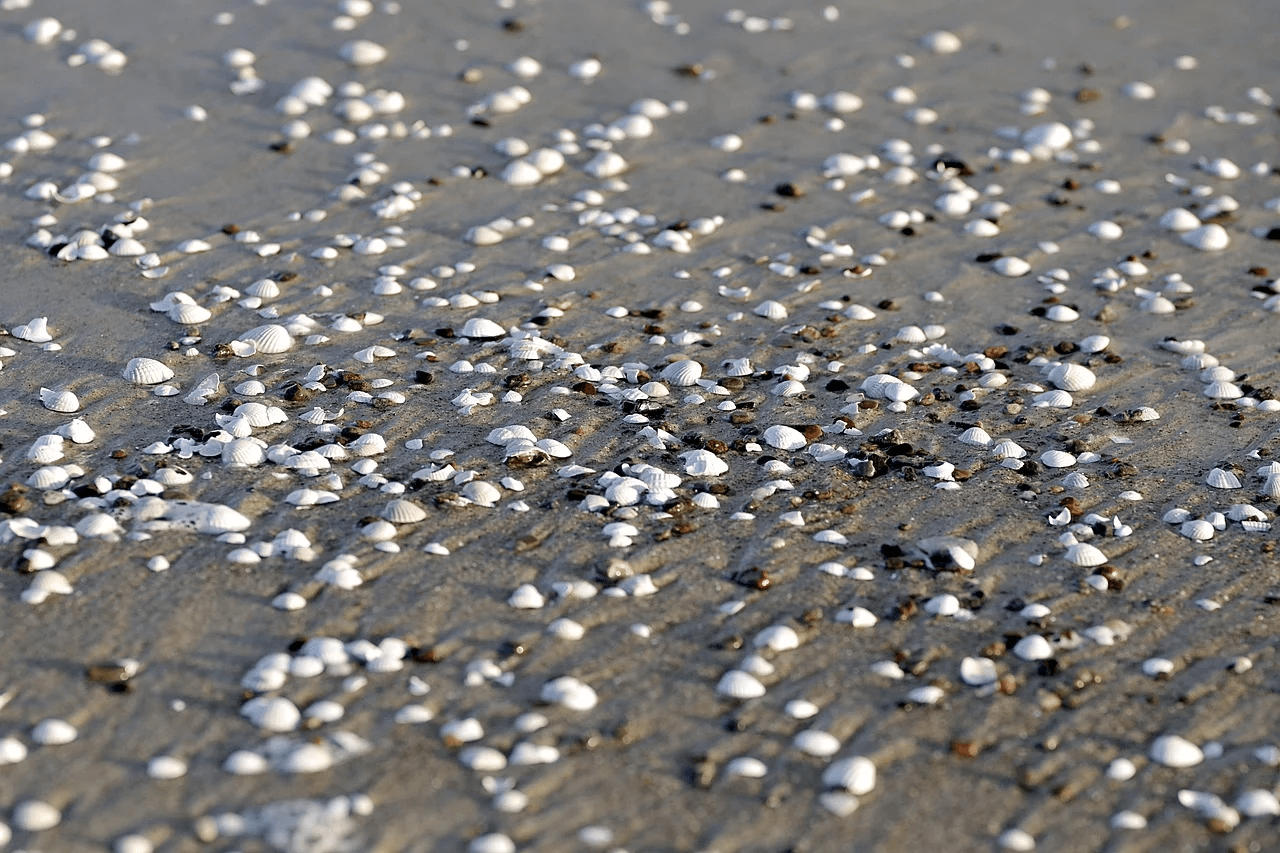 Sunset Beach and Shell Beach on Shelter Island