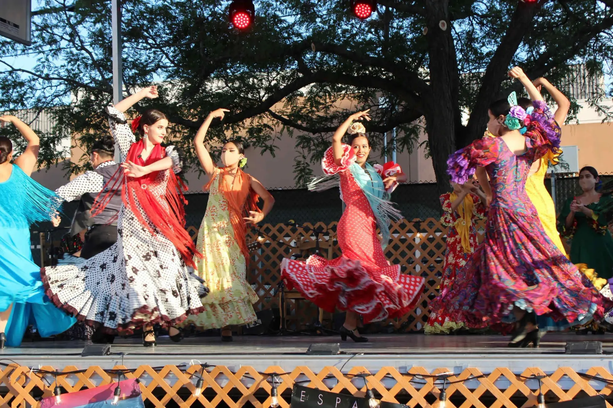 The Flamenco Fiesta