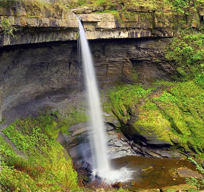 Skaneateles Gorge