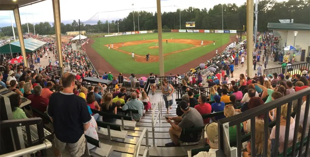 Lexington County Blowfish Baseball