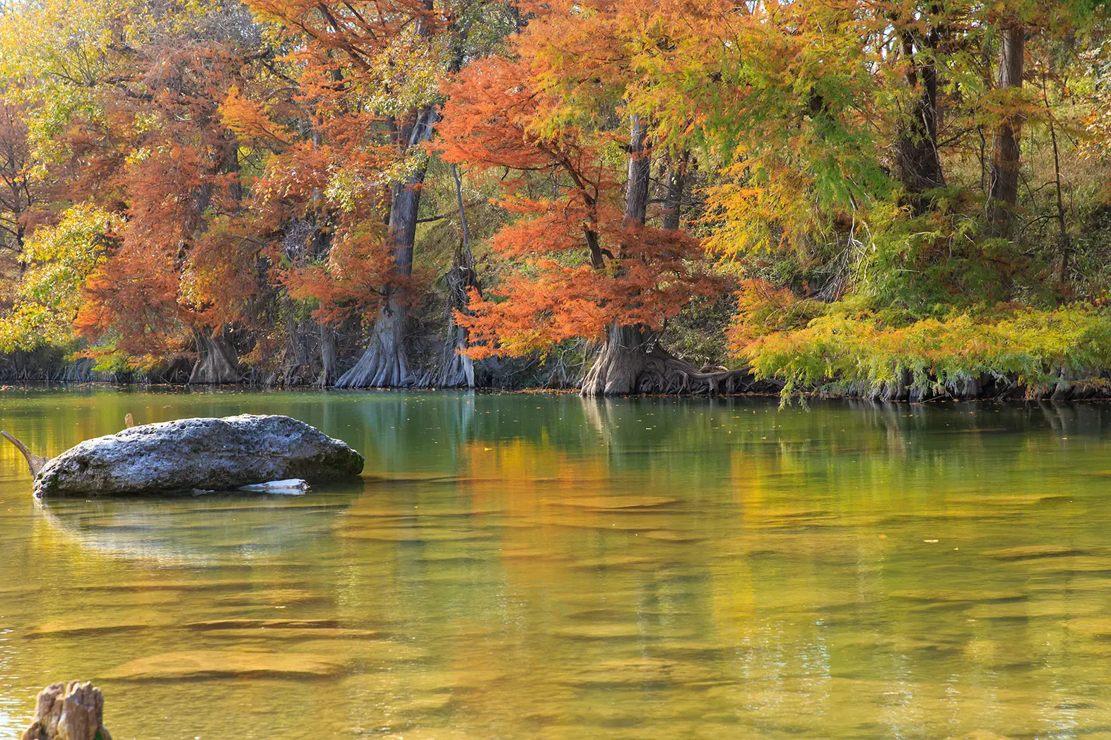 Guadalupe River