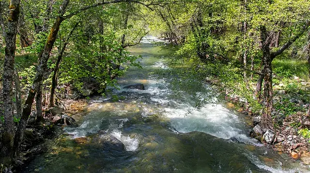 River Ranch Campground