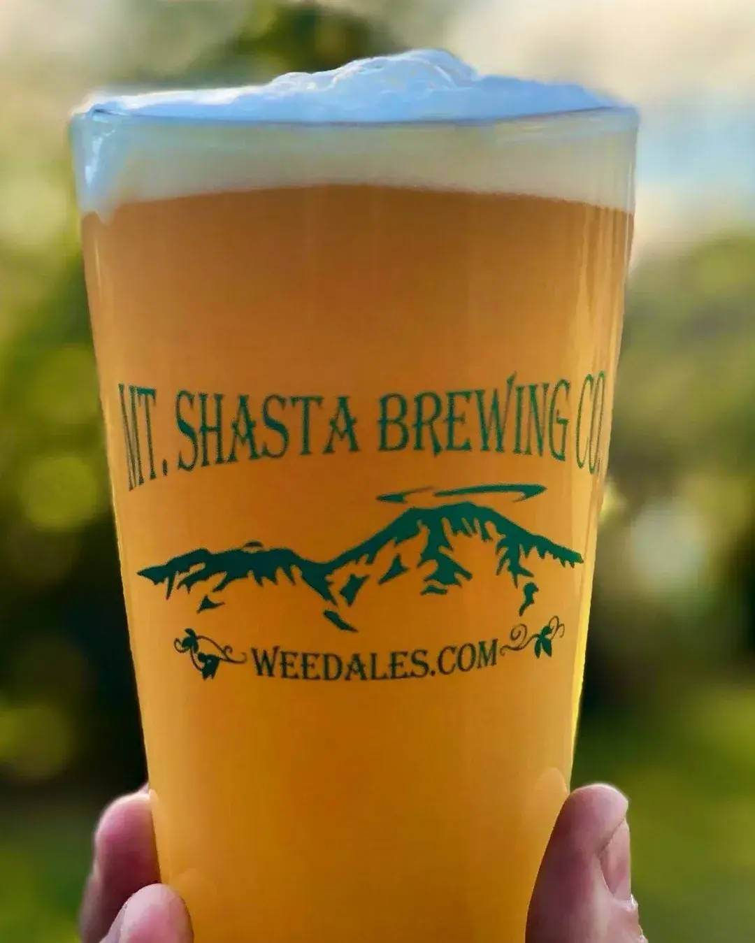 Shasta Brewing Company