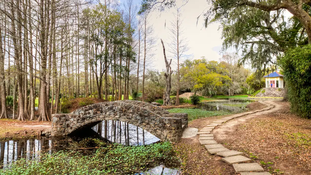 Avery Island Jungle Gardens