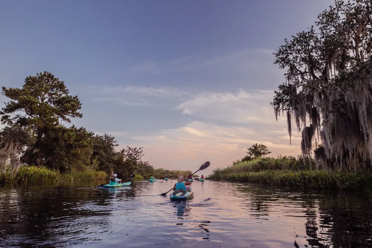 Kayak Swamp Tours Louisiana