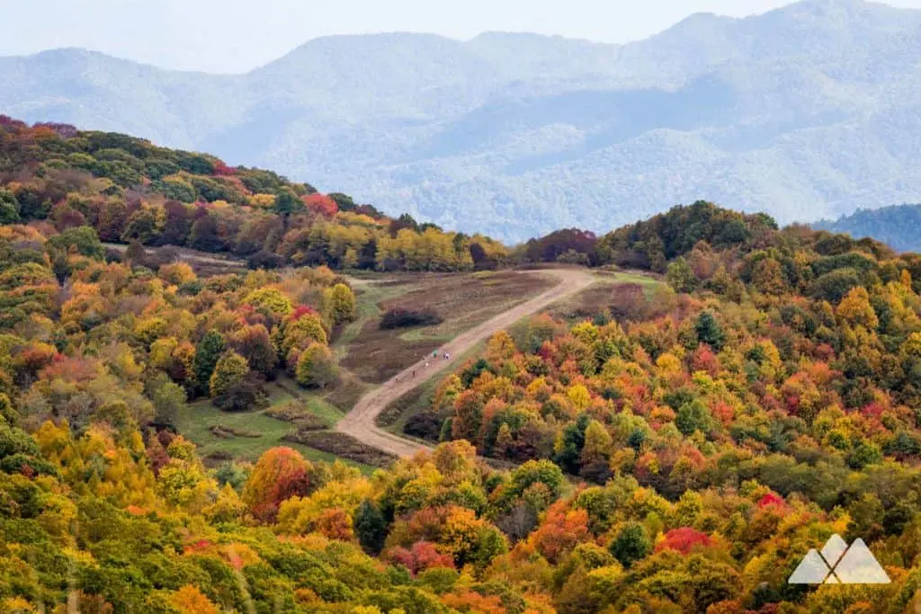 Max Patch Loop