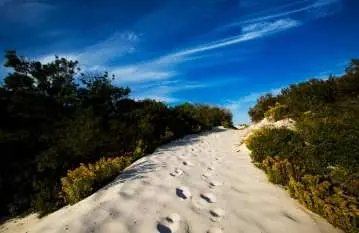 St. Joseph Peninsula State Park