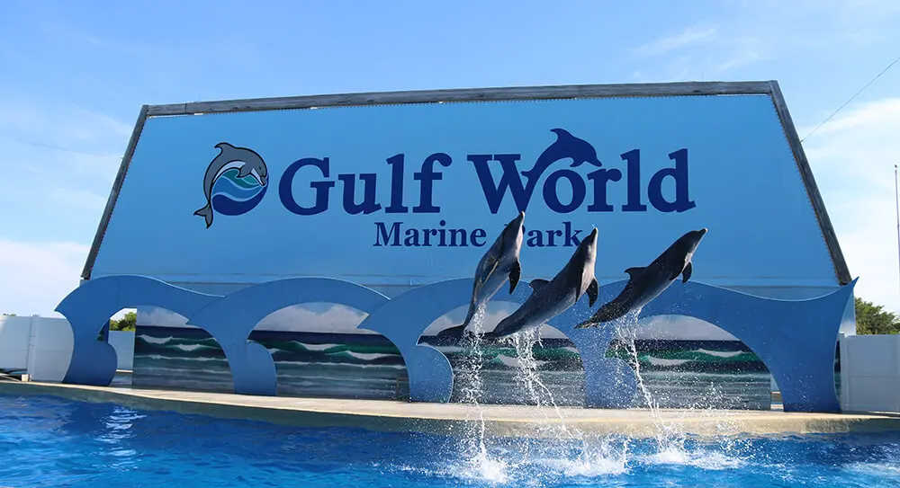 Gulf World Marine Park