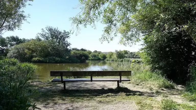 East Beach Pond