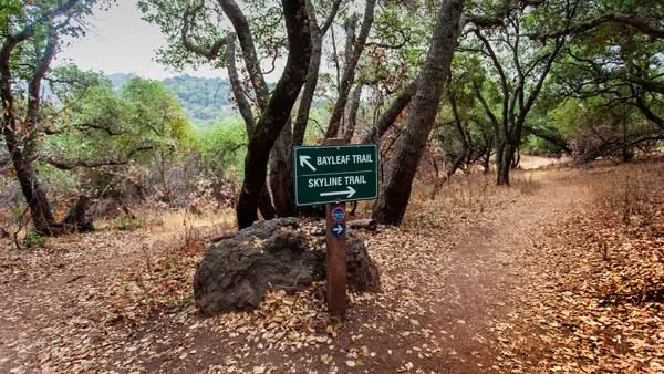 Skyline Wilderness Park