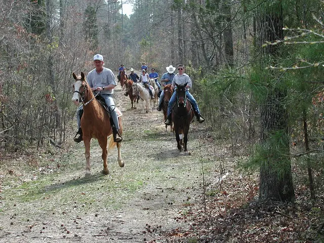 Westmoreland State Park Horseback Riding