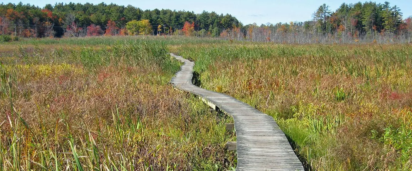 Litchfield Hills Trails