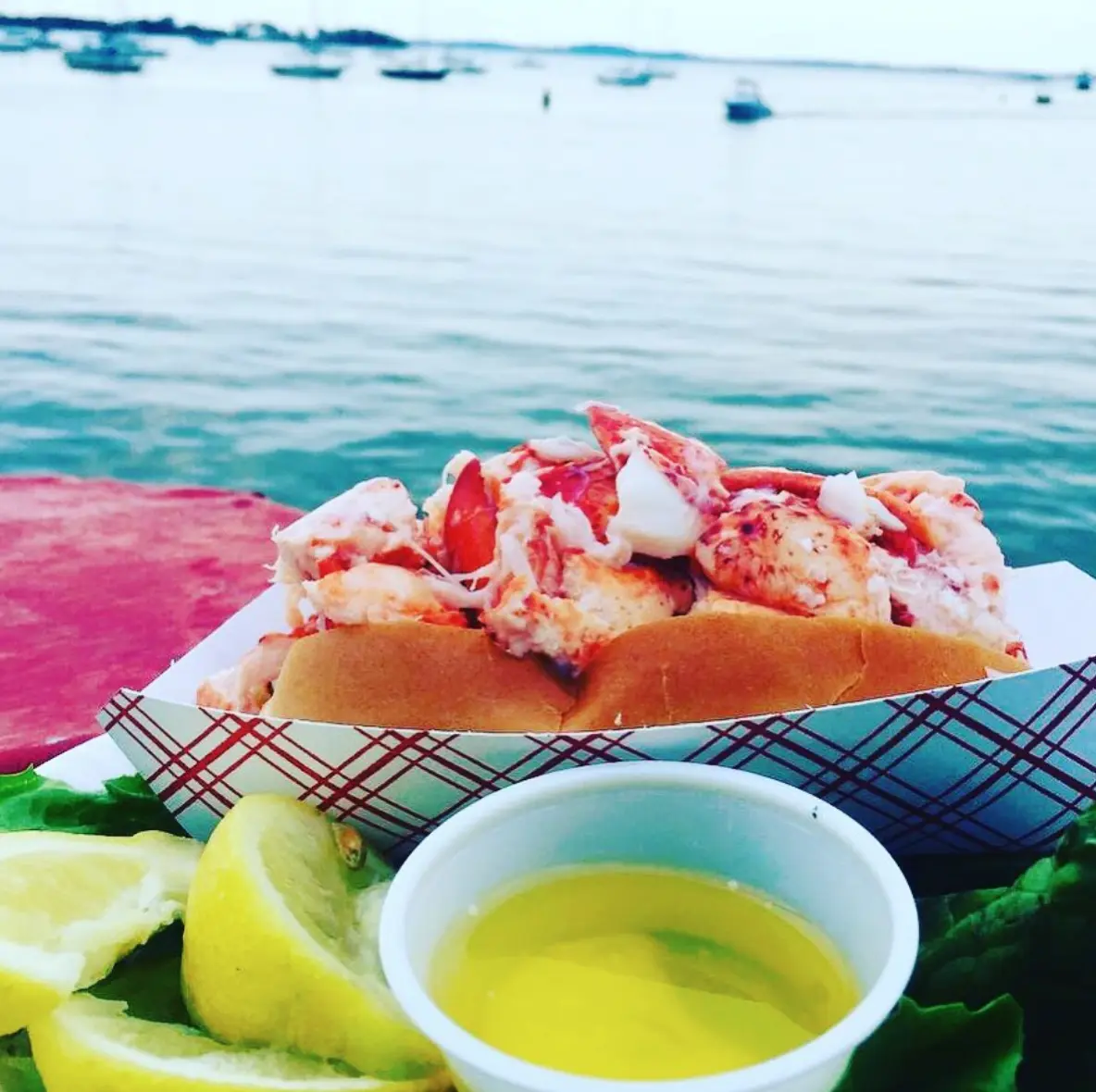 Abbott's Lobster