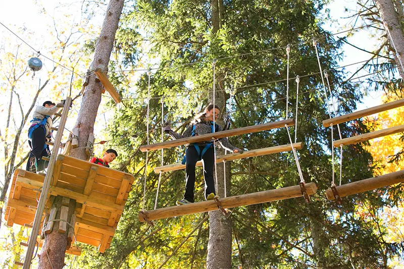 Pocono TreeVentures