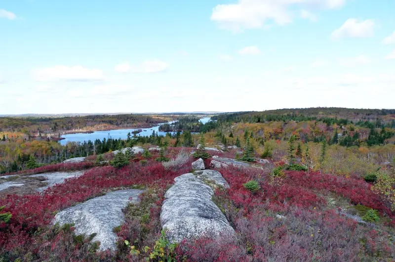 Bluff Trail