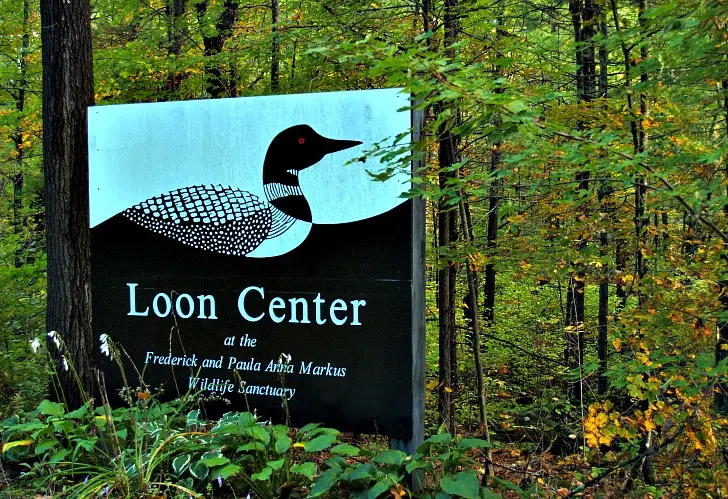 The Loon Center