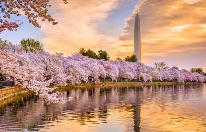 Free Things To Do In DC