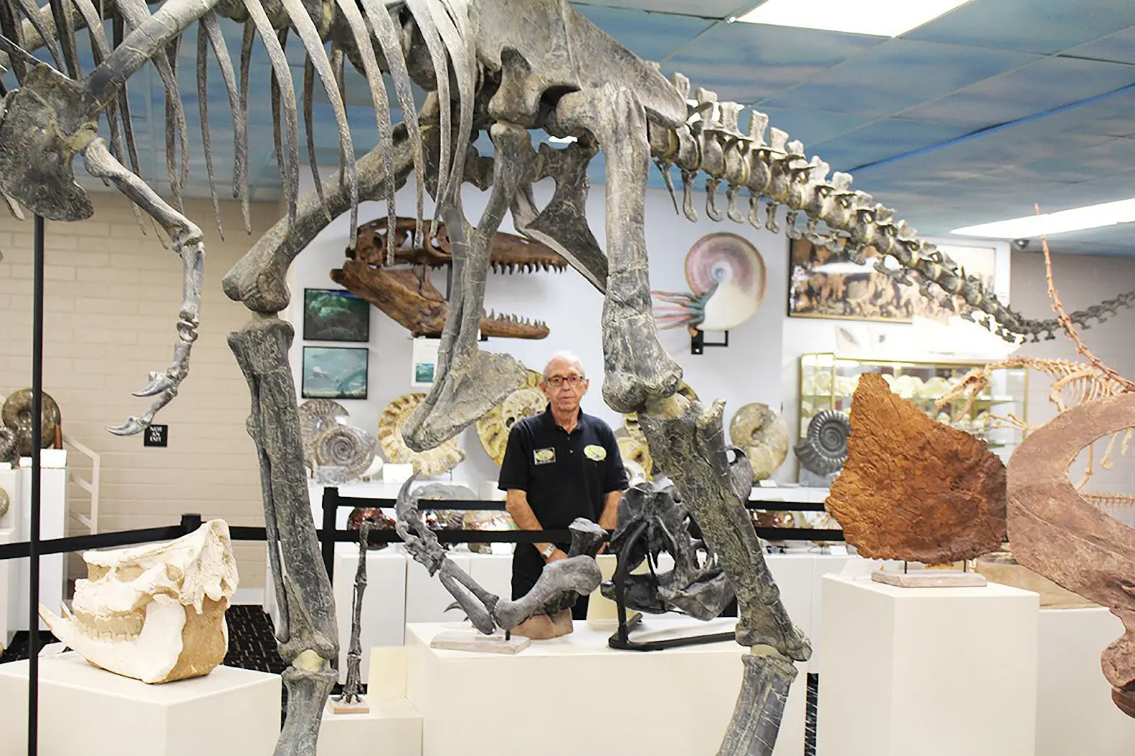 Roynon Museum of Earth Science and Paleontology