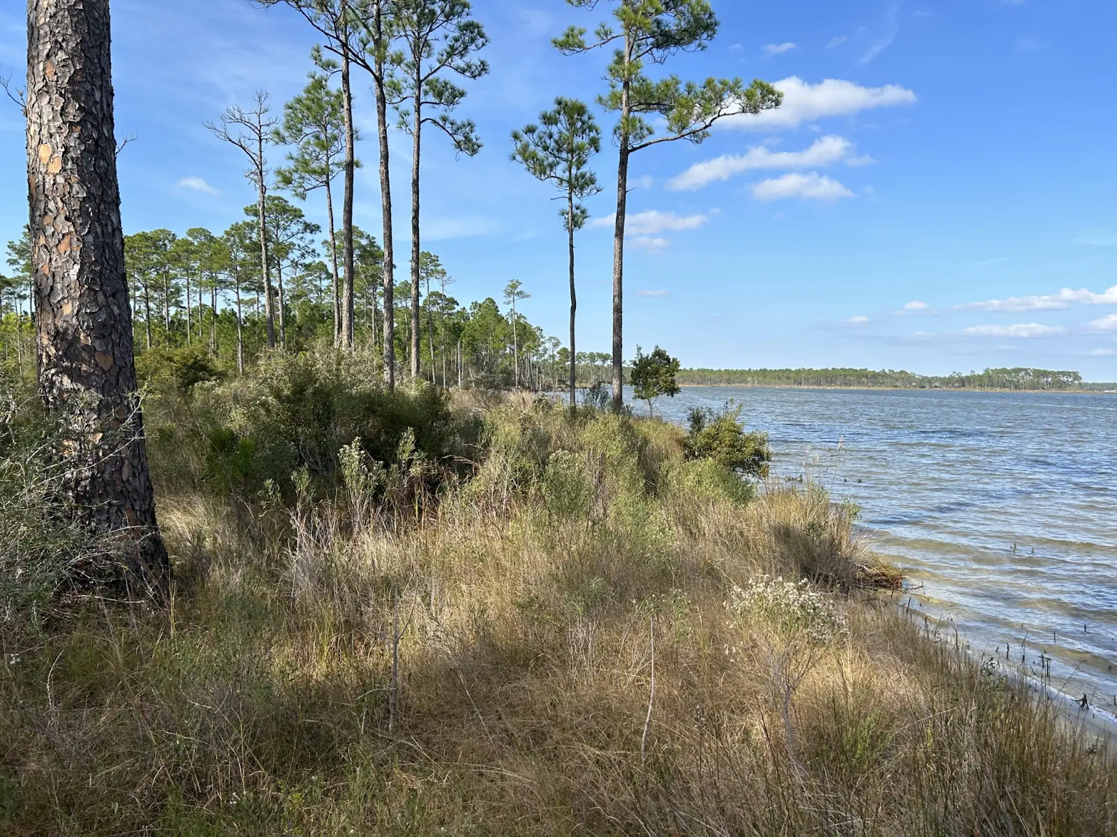 Graham Creek Nature Preserve