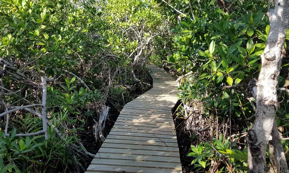 Lucayan National Park 