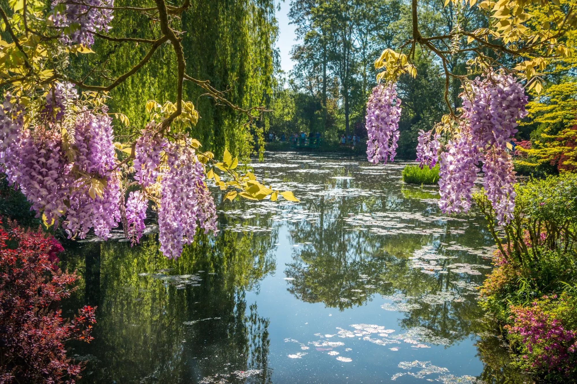 Giverny Travel Guide 2024: The Best of Giverny | Expedia