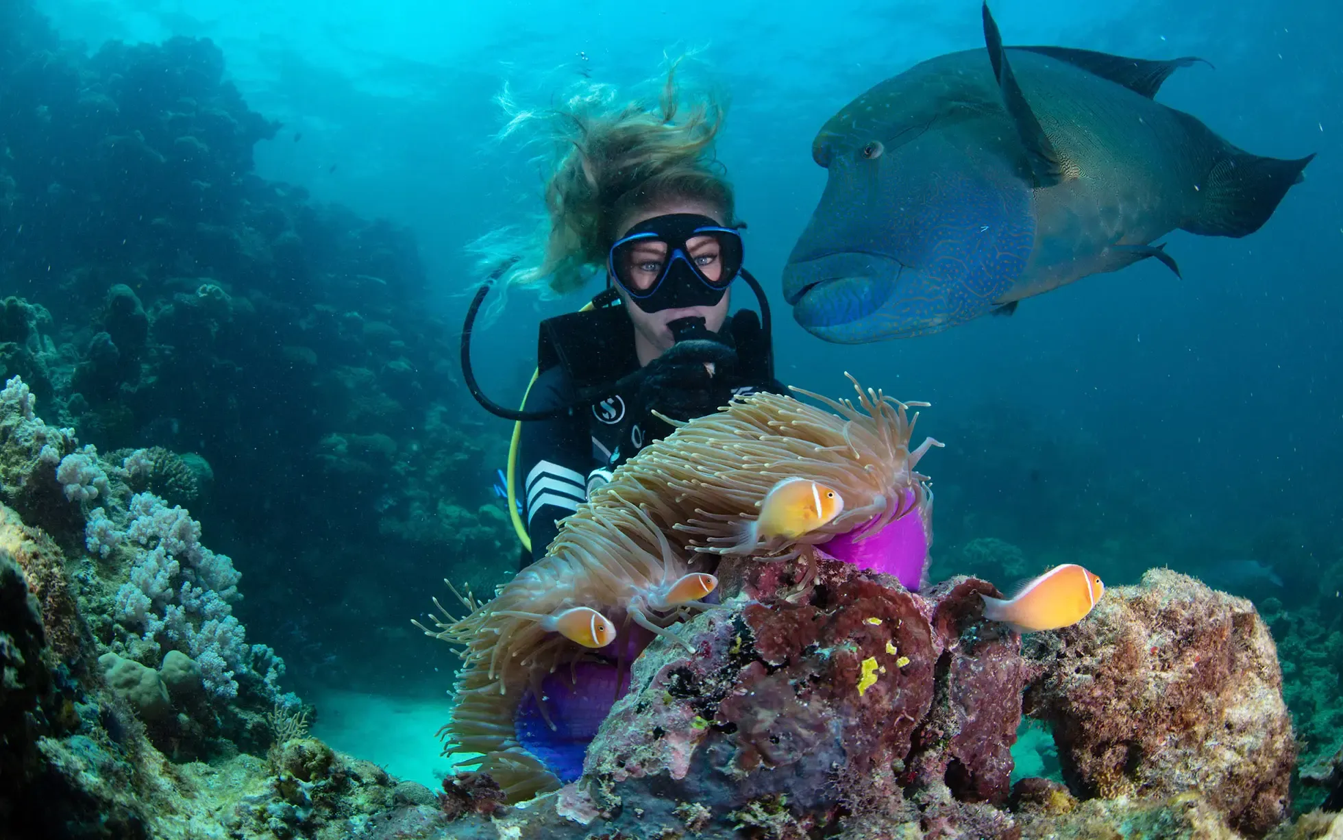 9 of the best ways to see the Great Barrier Reef
