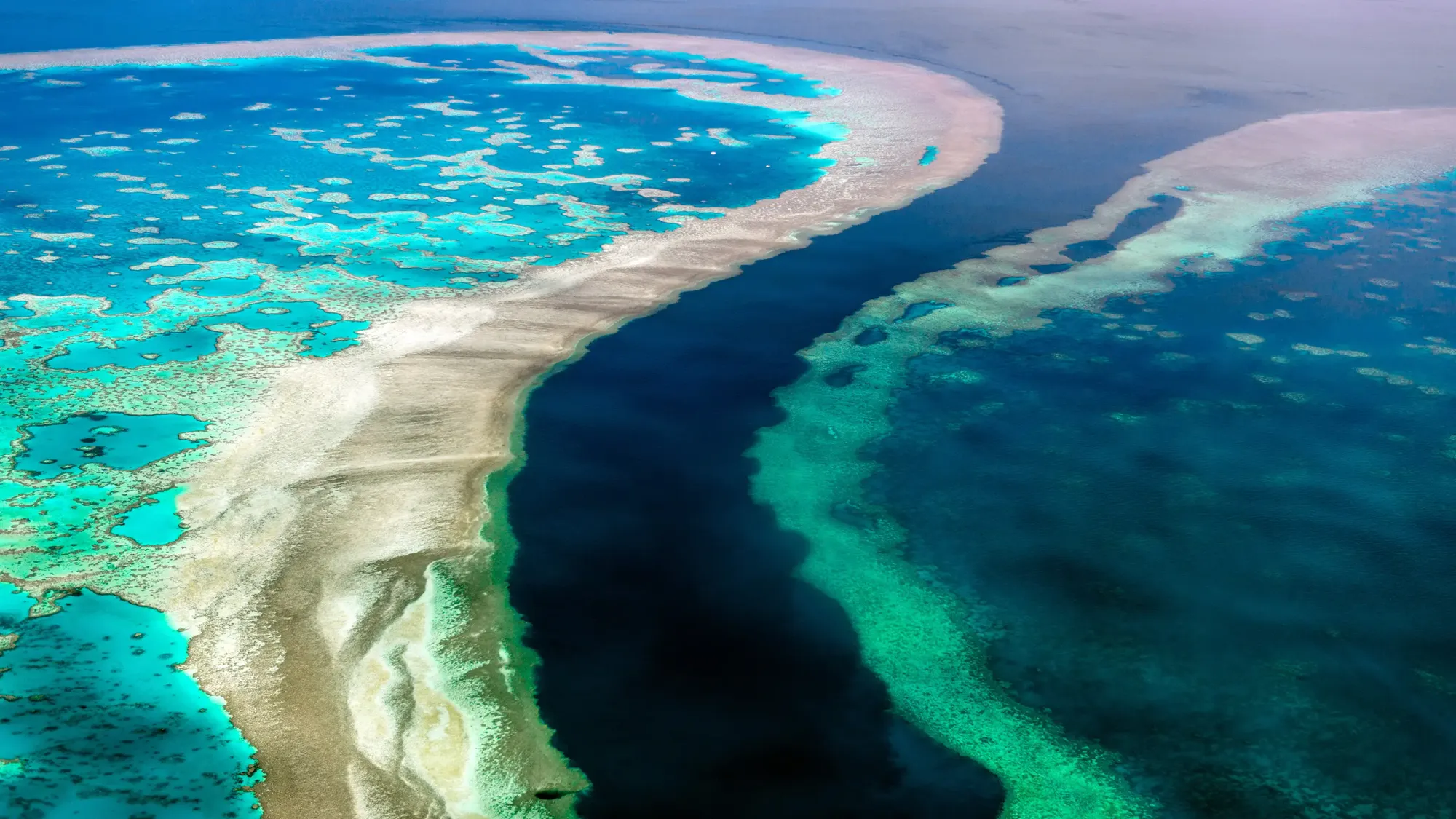 What's behind the ground-breaking 3D habitat map of the Great Barrier Reef?  - Earth Observation & Environmental Services 
