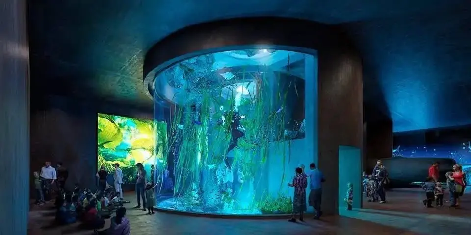 New Mazatlán Aquarium | MAT Filtrations | blooloop