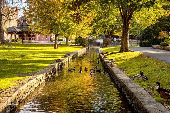 Lititz Springs Park entrance reopens after repairs made to sinkhole | ABC27