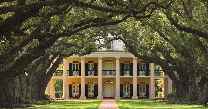 Regional Spotlight: Plantation Country