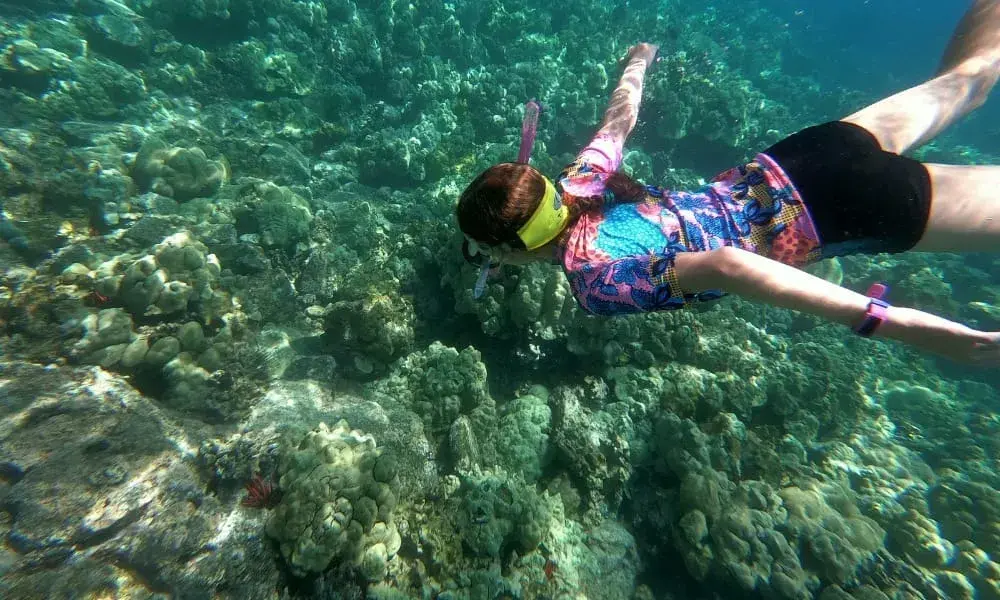 Kealakekua Bay | Best Snorkelling On Big Island Of Hawaii