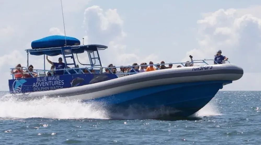 A Guide To Spotting Dolphins On A Boat Tour In Murrells Inlet