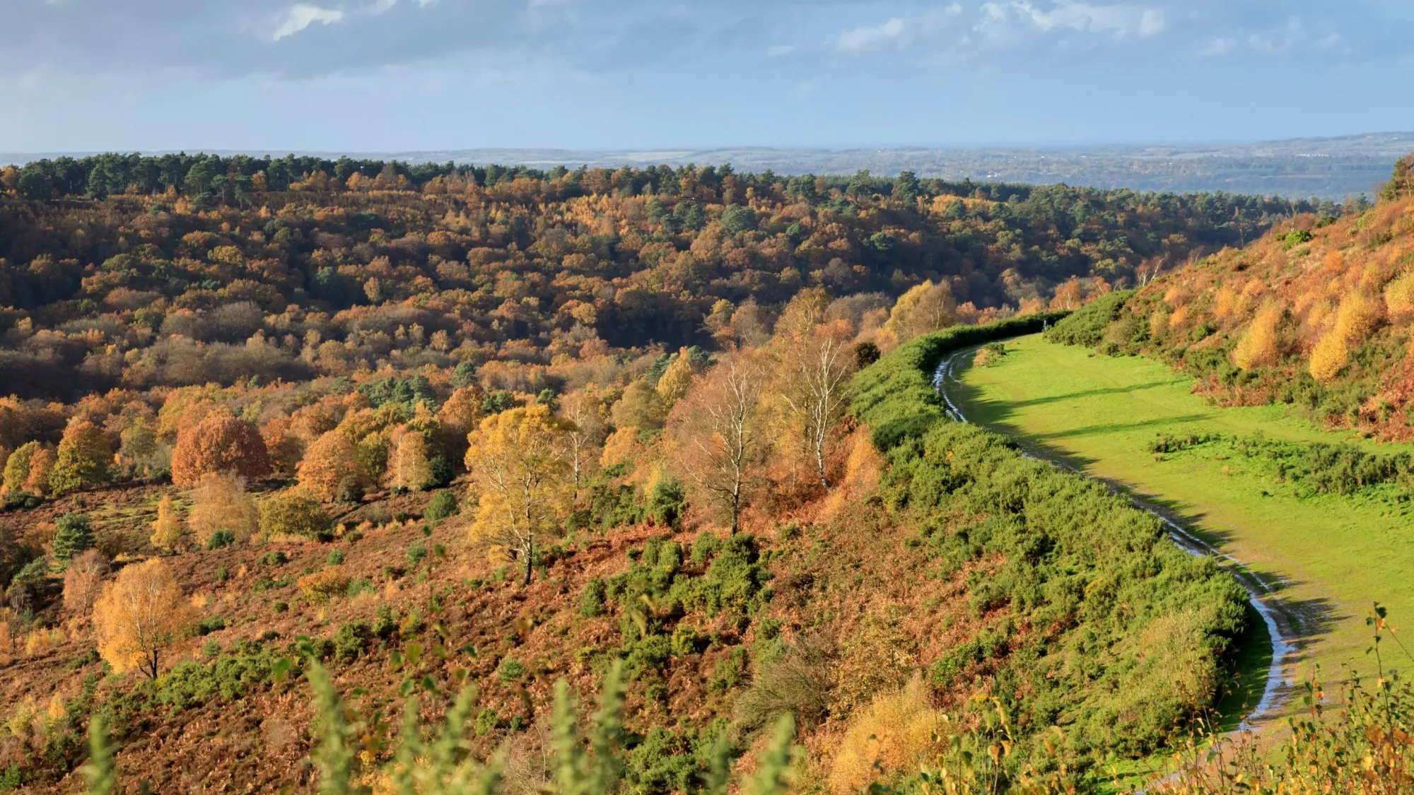 Hindhead Commons | Surrey | National Trust