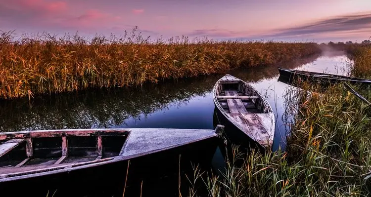 The Ebro Delta Natural Park 