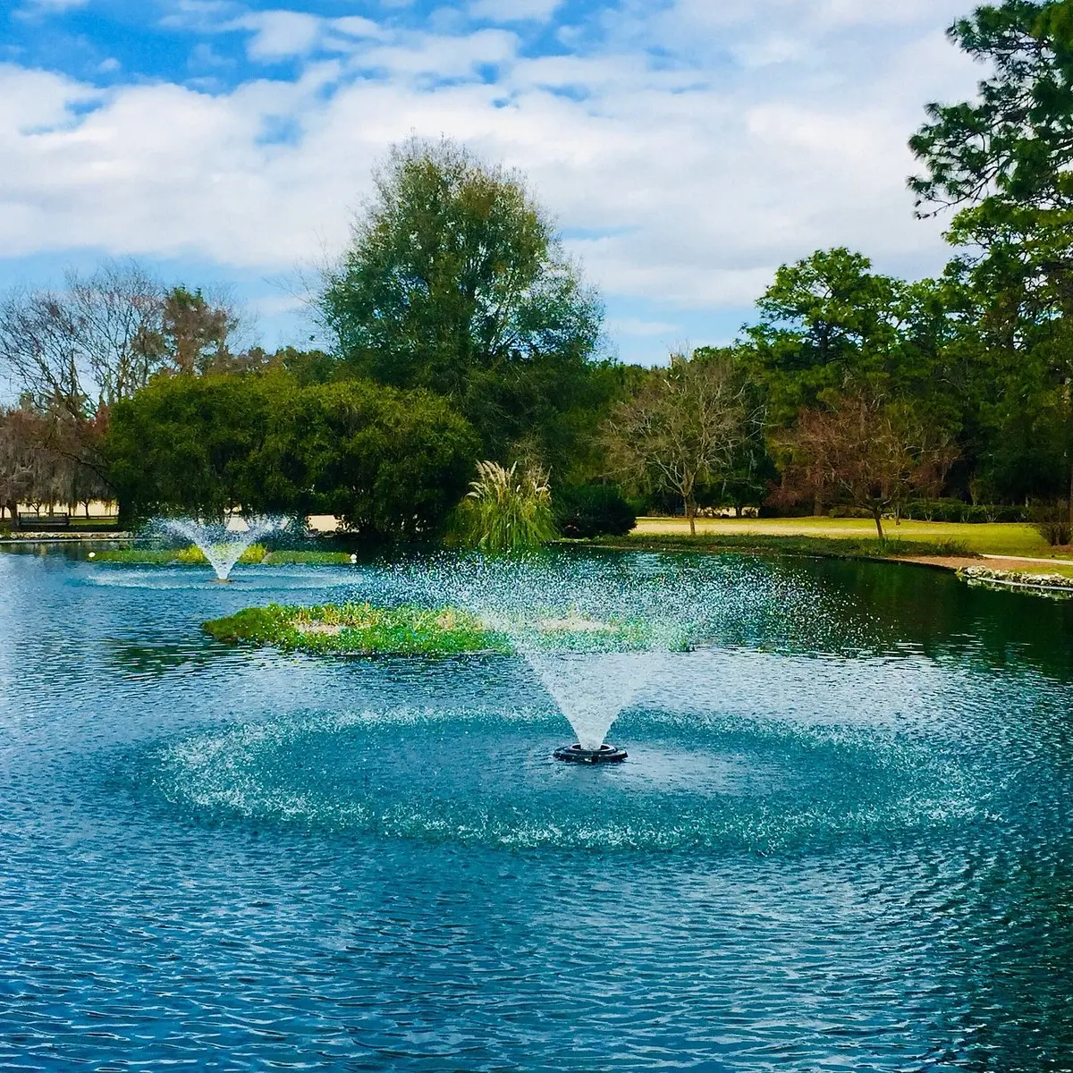 12 Amazing Things To Do In Ocala