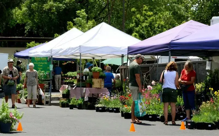 Rogue Valley Growers & Crafters Market – Ashland 