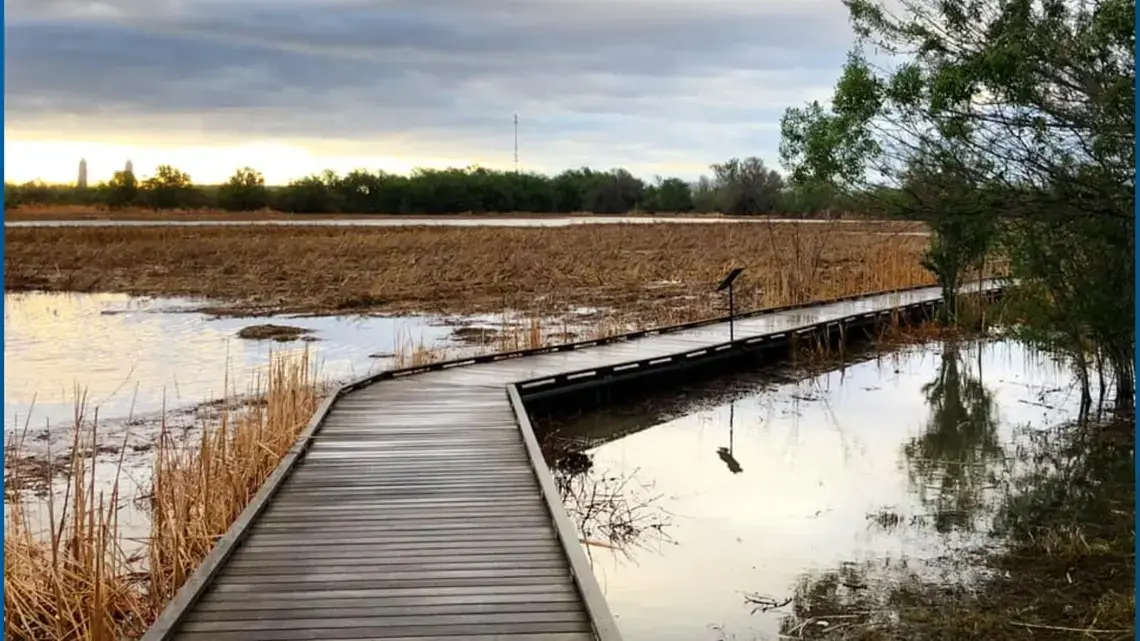 I-20 Wildlife Preserve holds WILD Exploration event | newswest9.com