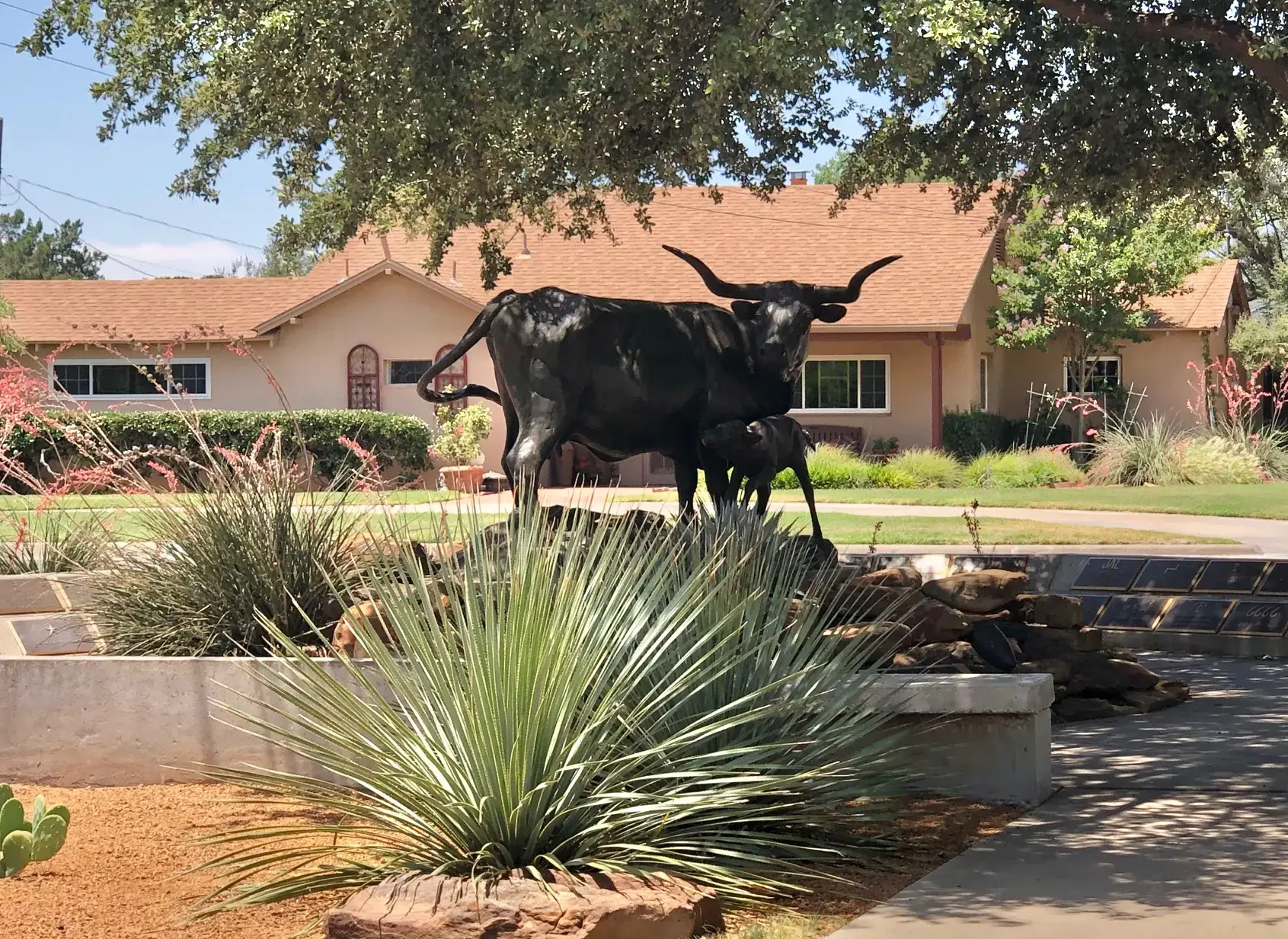 A Passion for Texas Literature and the Haley Library - Authentic Texas