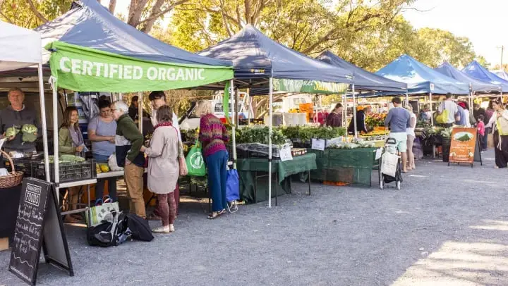 Shop for High-Quality Goods at Midland Farmers' Markets