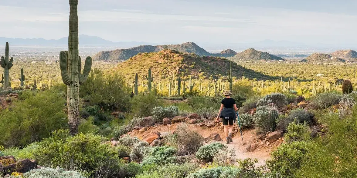 Hike To The Top at Usery Mountain Regional Park | Visit Mesa