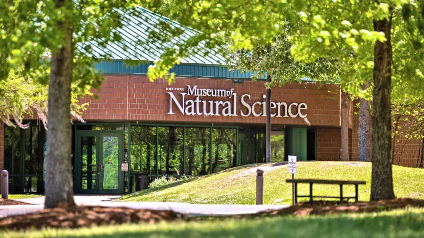 Engaging Experience: MS Museum of Natural Science -  Fondren, Mississippi | Jackson, MS