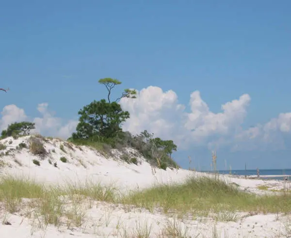 Gulf Islands National Seashore - Wikipedia