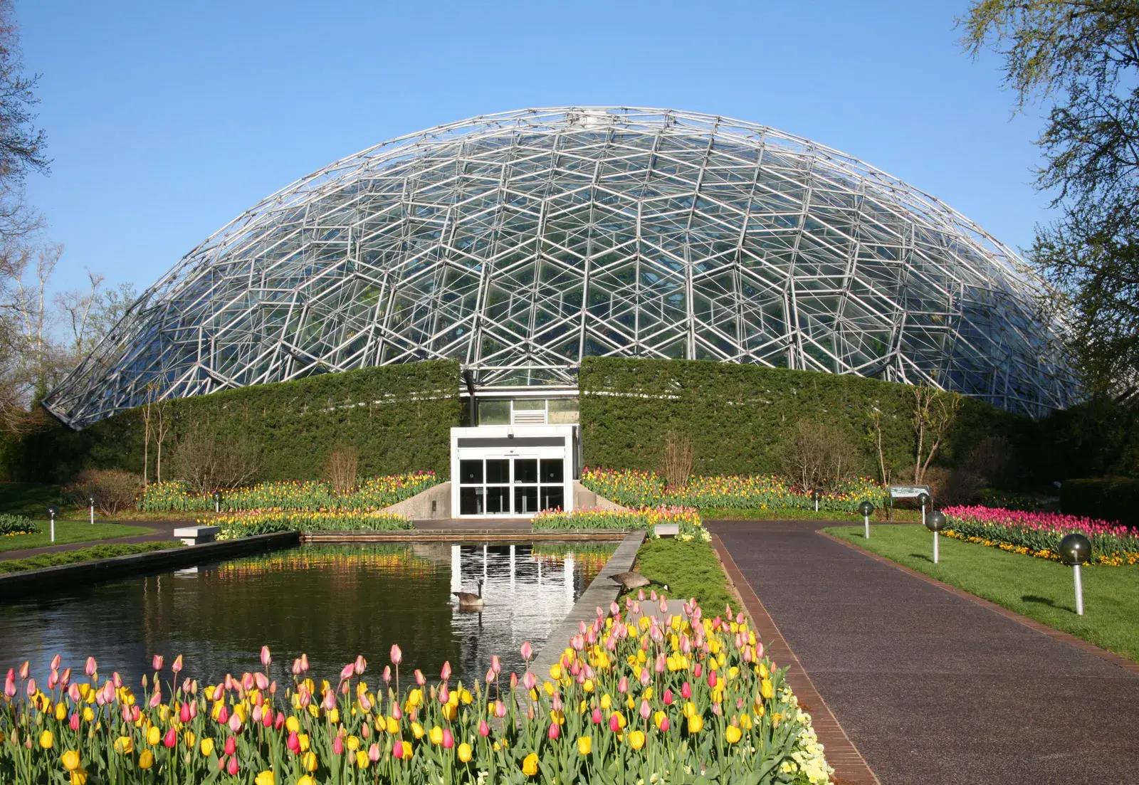 Missouri Botanical Garden | botanical research, conservation, education |  Britannica