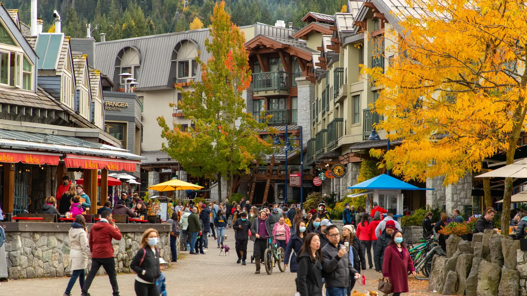 Whistler Visitor Centre Tours - Book Now 