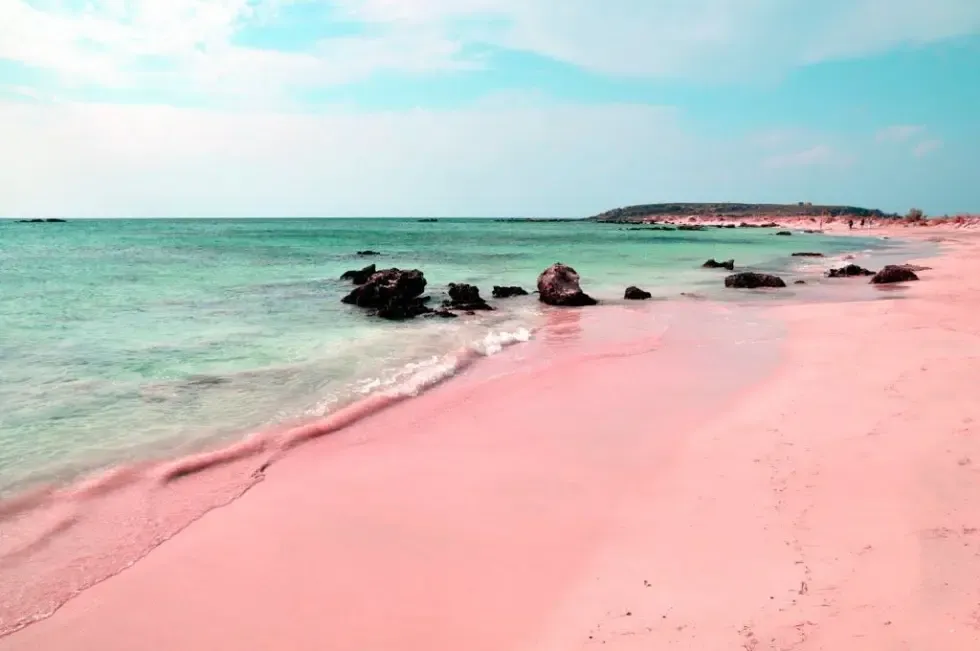 The Unique Pink Sands Beach in Harbour Island, the Bahamas 