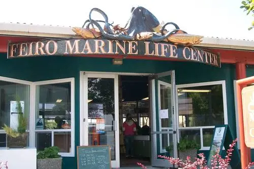 Feiro Marine Life Center