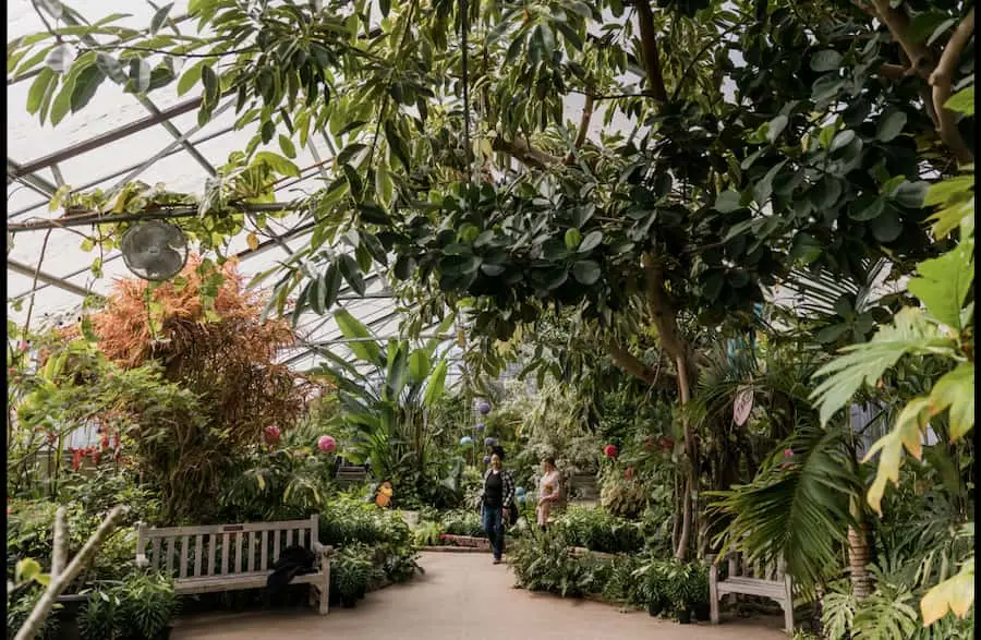 Luthy Botanical Garden