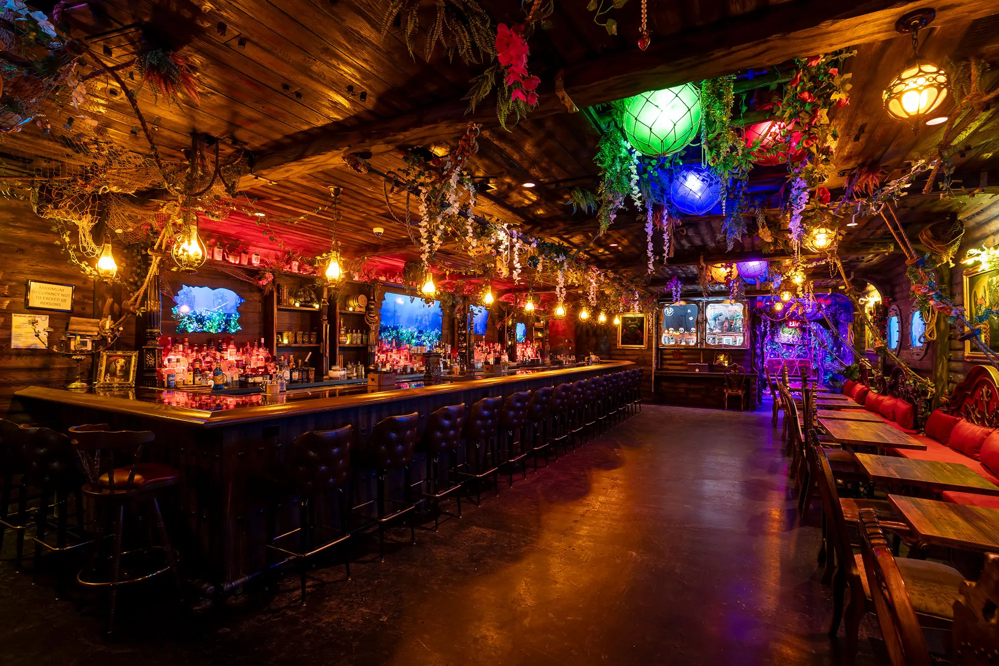 Downtown Las Vegas dog-themed tiki bar Stray Pirate is your new best friend  - Las Vegas Weekly